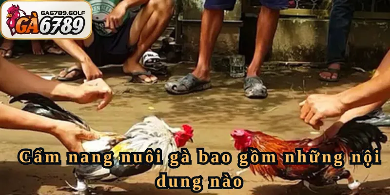 Cẩm nang nuôi gà bao gồm những nội dung nào