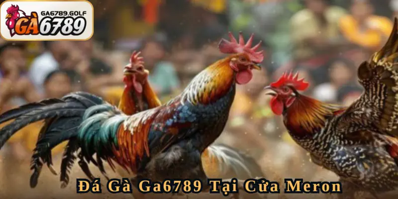 Cửa Meron có nhiều ưu điểm đặc biệt cho thành viên Đá Gà Ga6789