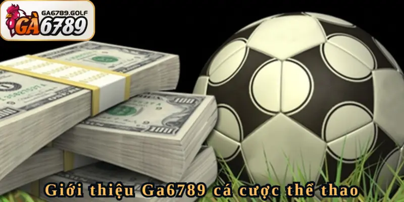 Người chơi Giới Thiệu Ga6789 vì sản phẩm Sport