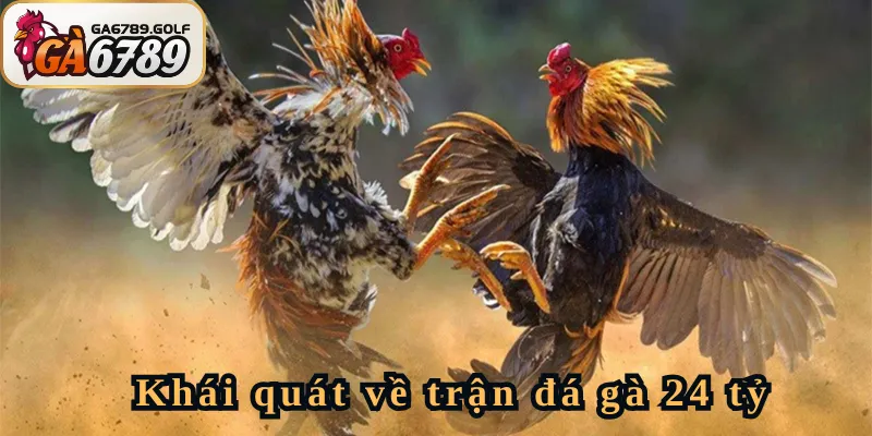 Khái quát về trận đá gà 24 tỷ