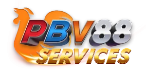 PBV SERVICES LOGO